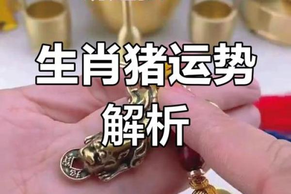 1983年的猪2025运势 1983年属猪人2025年运势详解财运事业感情全解析