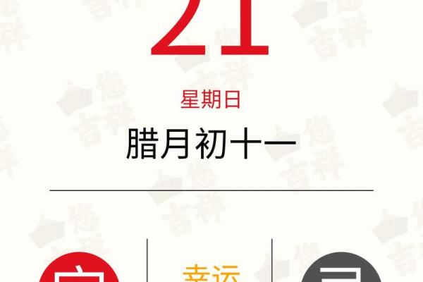 2013年正确生肖是龙还是蛇_2013年1月vs2月生肖属龙还是蛇跨年交界解析