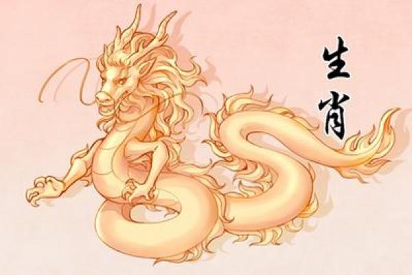 属龙2025年佩戴什么_属龙人2025全年运势指南开运配饰推荐