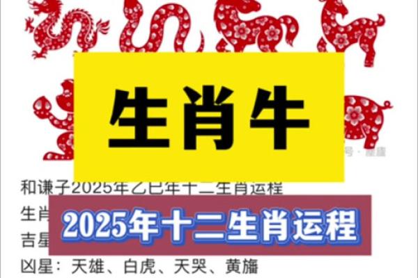 属龙人2025年运势_37岁属龙人2025年运势 属龙人2025年运势_37岁属龙人2025年运势