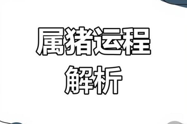 1983属猪适合住几楼层_1983属猪最佳楼层选择指南提升运势的秘诀