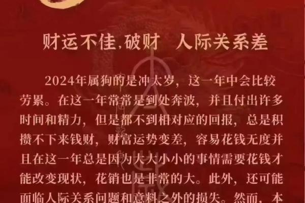 属狗人2025年全年运势运程_属狗人2025年运势详解全年运程大揭秘 属狗人2025年全年运势运程_属狗人2025年运势详解全年运程大揭秘