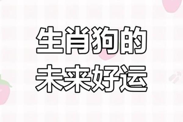 1970年属狗人2023年多大年龄运势全解析