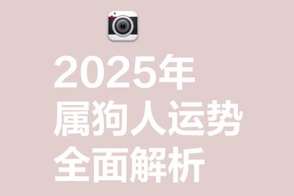 属狗运势2025_2025年属狗运势详解财运事业爱情全面解析