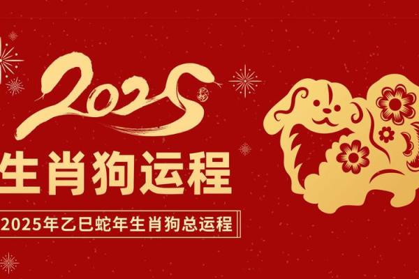 2025年属狗的_2025年属狗运势解析事业财运感情全攻略