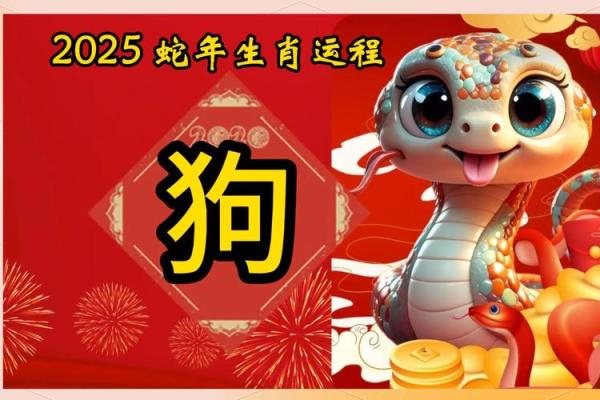 2025年属狗人的全年运势1982出生 2025年属狗男人的全年运势1982出生