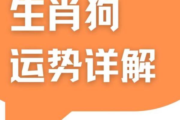 一九八二年属狗2025年运势如何_1982年属狗2025年运势详解事业财运健康全解析 一九八二年属狗2025年运势如何_1982年属狗2025年运势详解事业财运健康全解析