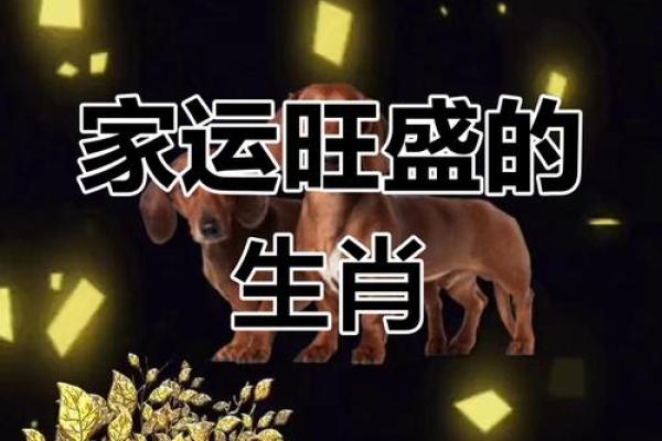 属狗人跟谁一起财运好_属狗人财运最佳搭档与谁合作最旺财 属狗人跟谁一起财运好_属狗人财运最佳搭档与谁合作最旺财