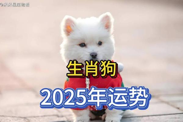 属狗女2025年儿子 属狗女2025年儿子运势解析健康与学业双丰收