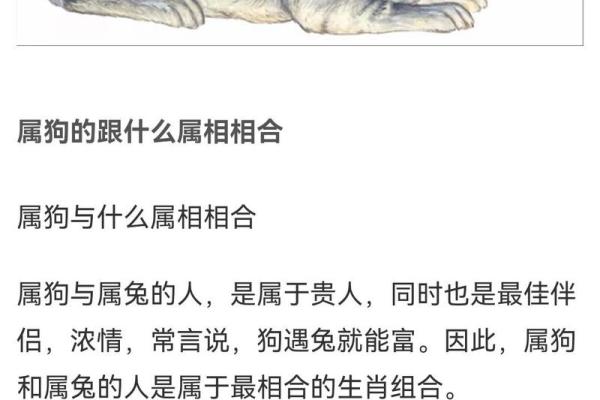 属狗和属牛的婚姻相配吗 属狗女和属牛男的婚姻相配吗 属狗和属牛的婚姻相配吗 属狗女和属牛男的婚姻相配吗