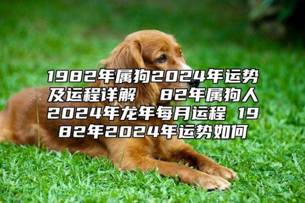 1982年属狗佩戴什么可以带来财运 1982年属狗人佩戴什么饰品能提升财运