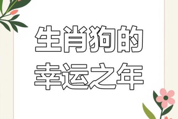 属狗的2025年多大了虚岁呢_2025年属狗人虚岁年龄计算及运势解析