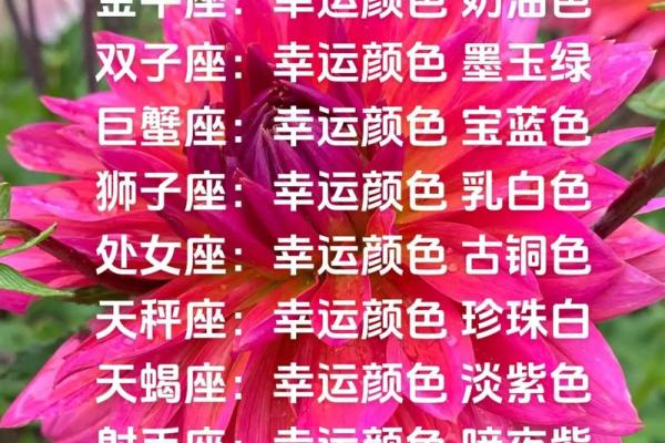 白羊今天幸运色(白羊座今日的幸运颜色)