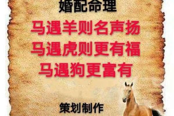 1978年属马女的是什么命运 1978年属马女的是什么命运呢