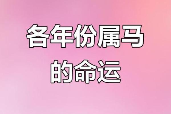 2002年属马今年多大2023年年龄计算与运势解析 2002年属马今年多大2023年年龄计算与运势解析