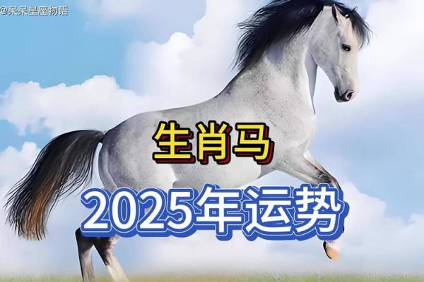 2025属马1990人全年运势如何_1990年属马人2025年运势运程 2025属马1990人全年运势如何_1990年属马人2025年运势运程