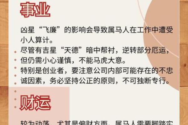 属马人2025年全年运势1978年_2025年属马人的命运 属马人2025年全年运势1978年_2025年属马人的命运