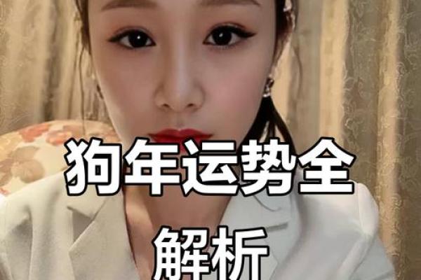 2025年属狗招财颜色衣服推荐助你财运亨通