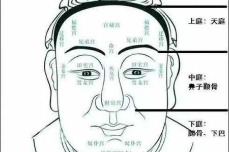 风水男人面相眼睛小预示有什么性格特征