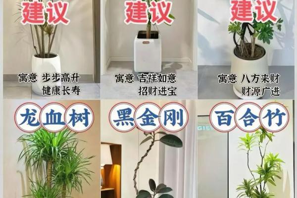 家居客厅风水不是要顺眼就可以 这几个要特别注意