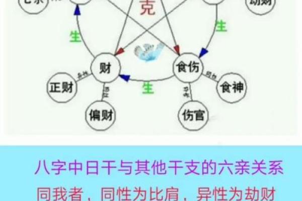 如何认识科学算命