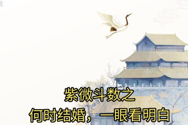 紫薇斗数看你结婚