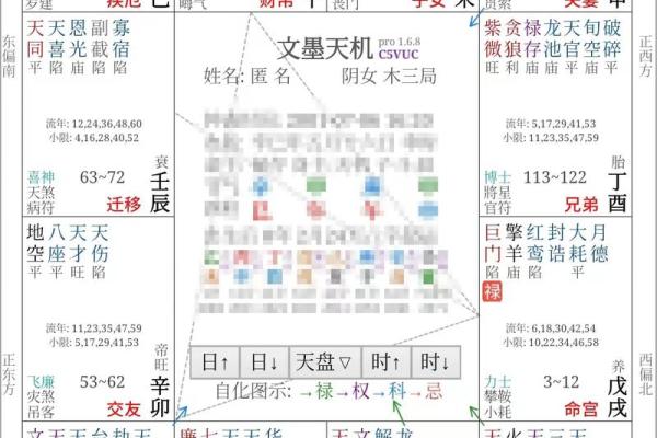 紫薇斗数 四化盘怎么看