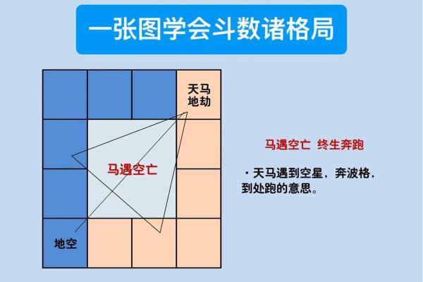 干装修紫薇斗数
