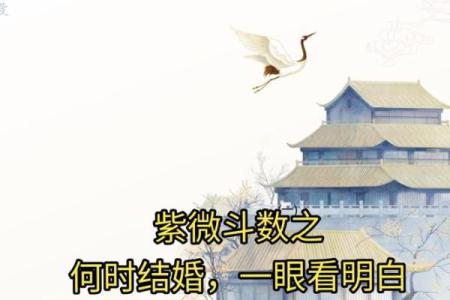 紫薇斗数看你结婚