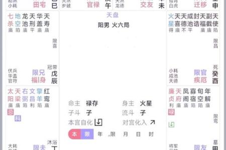 紫薇斗数文昌入命宫