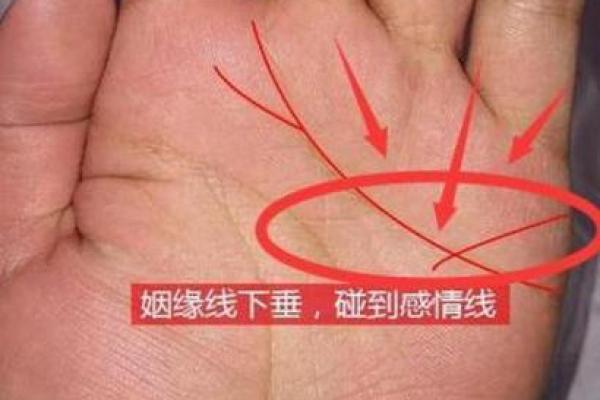 《手相学习百科》：感情线