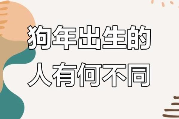 94年狗和94年狗是上等婚吗 两只94年生的狗配对算是高配婚姻吗