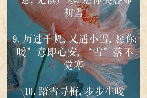 小雪节日文案 小雪节日的诗句