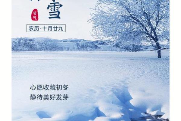 小雪节日文案 小雪节日的诗句