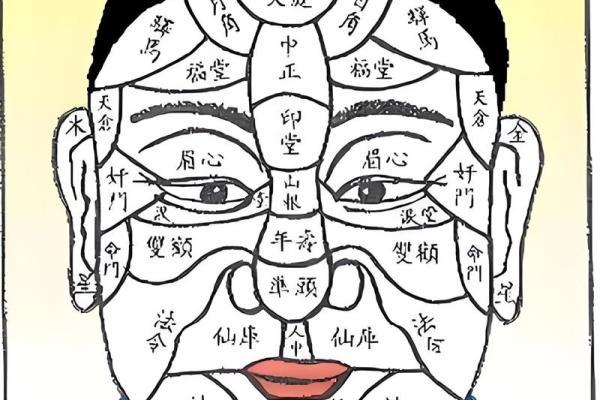 六害眉面相算命图解