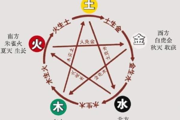 八字看财库，五行属性