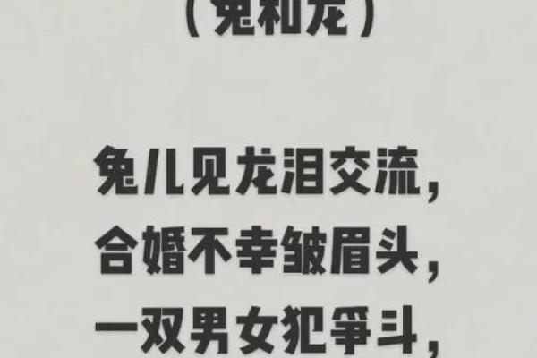 生肖属兔合婚须知，属兔配对需要注意的问题！