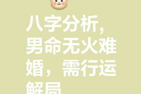 未时乙巳日八字精批：事业如何？财运如何？感情婚姻如何？