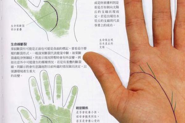 《手相学习百科》：生命线