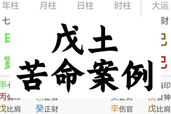 八字戊土