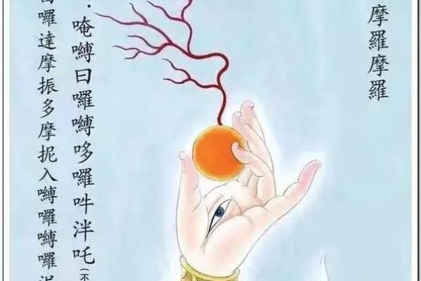 观音姻缘经 观世音菩萨姻缘咒语？