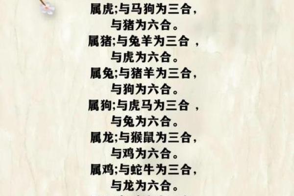 八字配对属龙男与属猪女合得来吗 结婚会怎样
