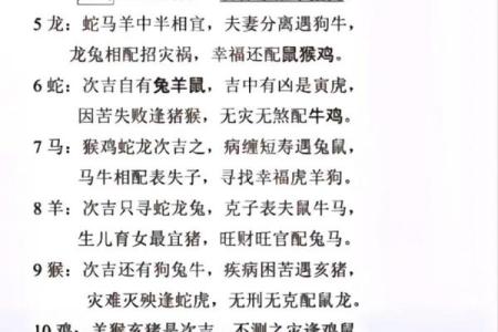 94年狗和94年狗是上等婚吗 两只94年生的狗配对算是高配婚姻吗