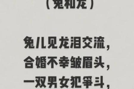 生肖属兔合婚须知，属兔配对需要注意的问题！