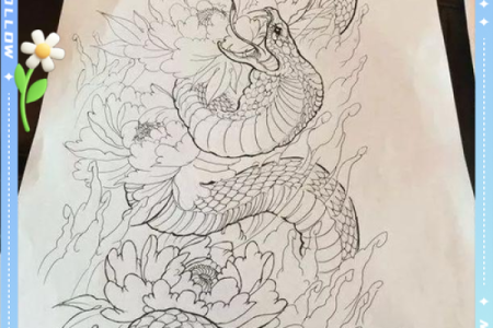 十二生肖属蛇的配对