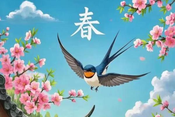 什么是立春的风水