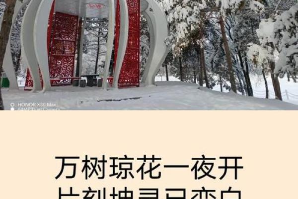 杂谈｜雪舞时节谈寂美，东方八字美学说尽美的奥妙
