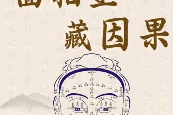 眼皮看面相算命