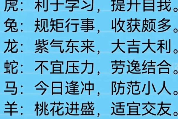 围绕中心生肖养，打造最全生肖百科！