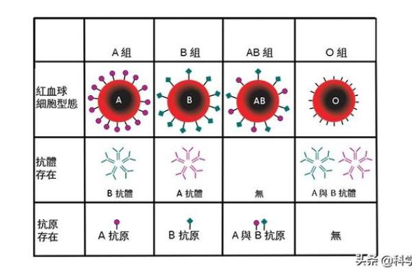 最容易出学霸的血型有哪些呢